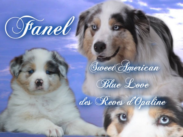 Fanel sweet american blue love des rêves d'opaline
