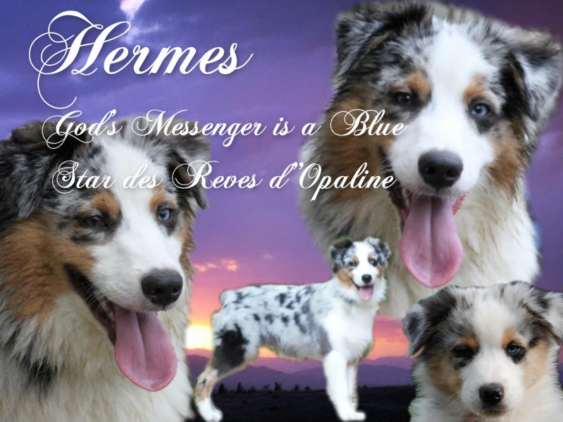 Hermes god's messenger is a blue star des rêves d'opaline