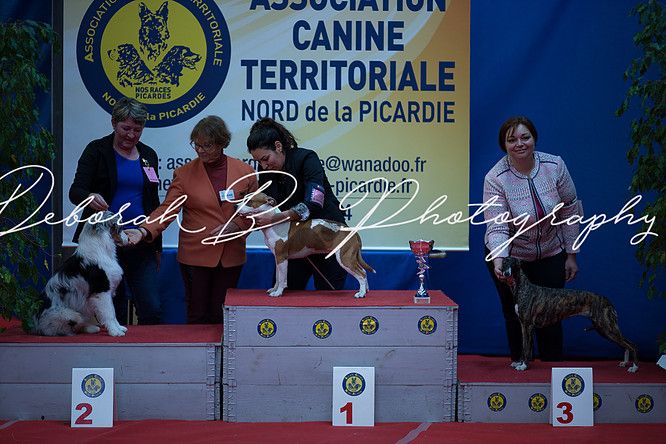 des rêves d'opaline - expo de Flixecourt (80)