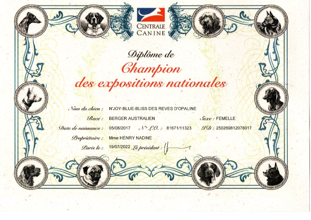 des rêves d'opaline - N'JOY CHAMPIONNE EN FRANCE !!!