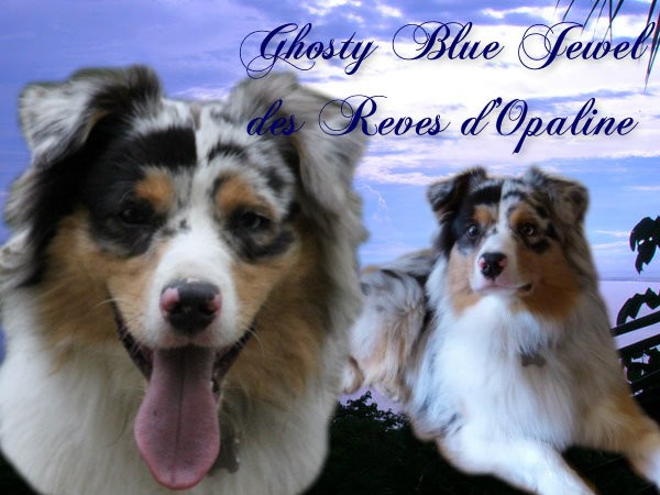 Ghosty blue jewel des rêves d'opaline