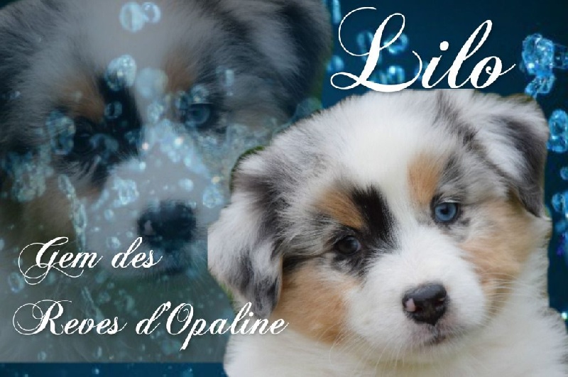 Lilo gem des rêves d'opaline