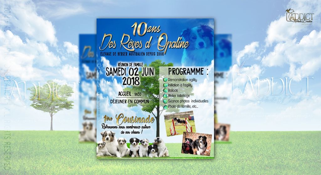 des rêves d'opaline - la famille va se réunir !