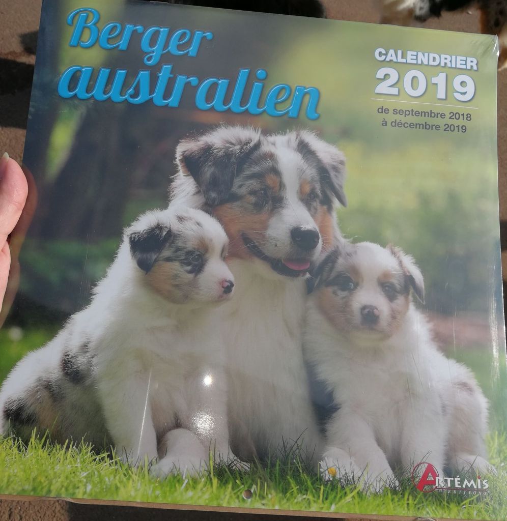 des rêves d'opaline - calendrier 2019