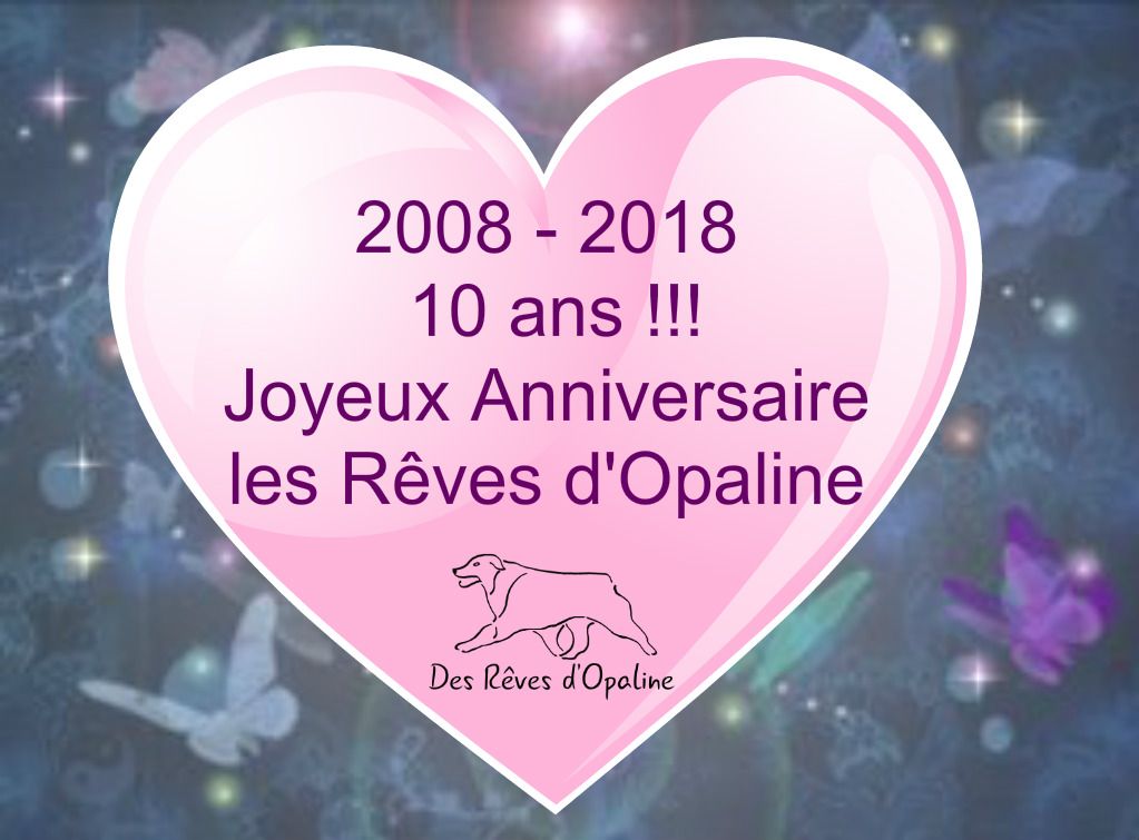 des rêves d'opaline - 10 ans ! un bel anniversaire !