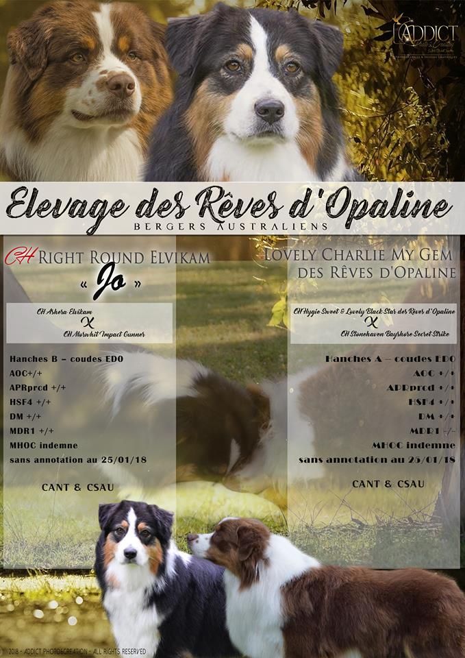 des rêves d'opaline - En rouge et noir