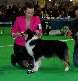 des rêves d'opaline - CACIB DOUAI